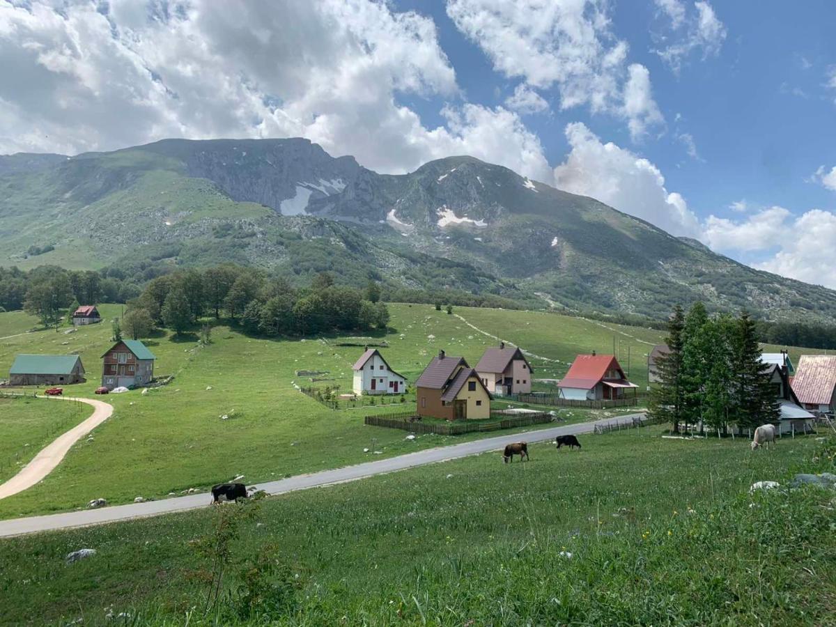 Blackberry House Zabljak Eksteriør bilde
